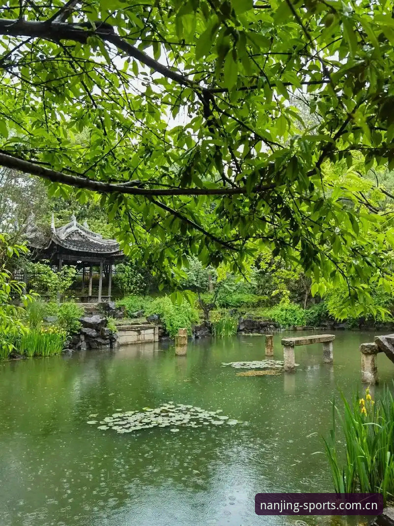 江南体育桌面端下载手机版vs传统平台：哪个才是2024秋的最佳选择？