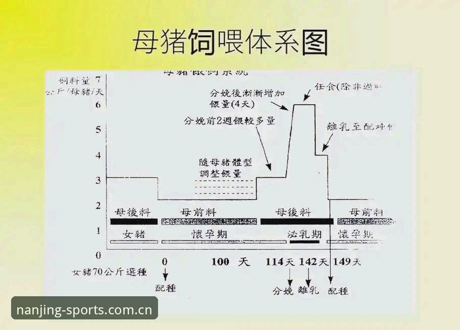 江南体育使用教程安卓版 江南体育使用教程安卓版详解:从安装到赛事数据评测全流程指南